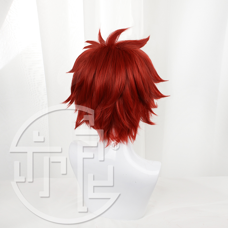 애니메이션 SK8 인피니티 레키 코스프레 가발, 빨간  - Anime Cosplay Red Hair 리뷰 및 가격