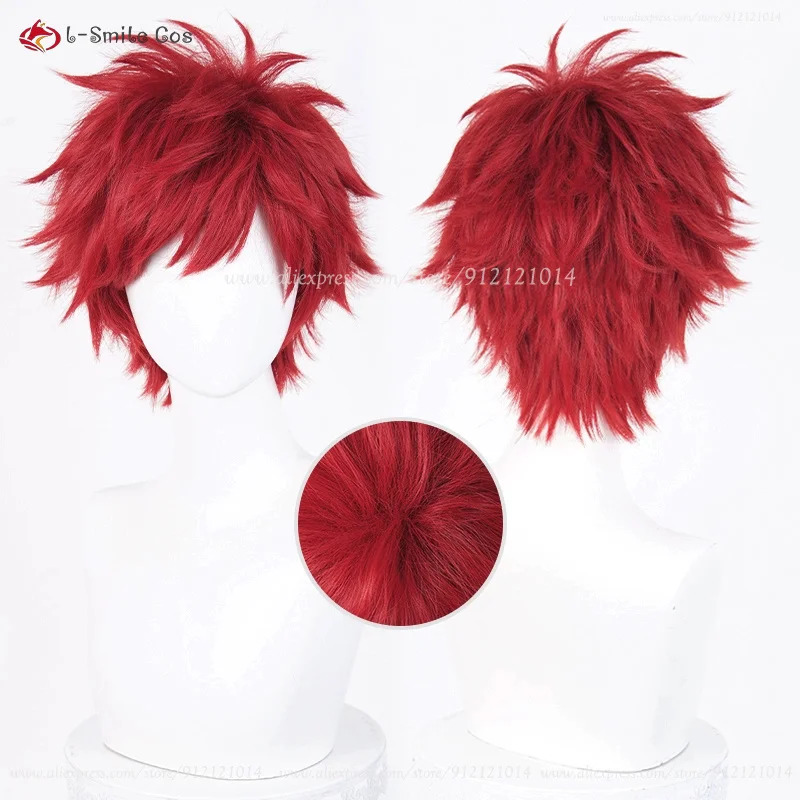 애니메이션 레인하르트 반 아스트리아 코스프레 30cm  - Anime Cosplay Red Hair 리뷰 및 가격