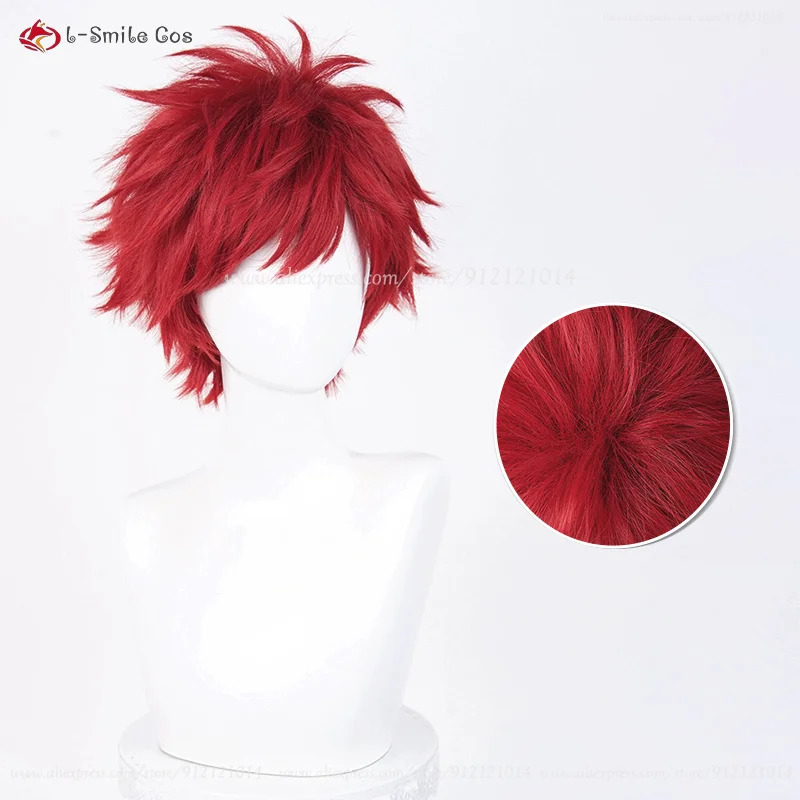 애니메이션 레인하르트 반 아스트리아 코스프레 30cm  - Anime Cosplay Red Hair 리뷰 및 가격